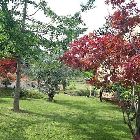 Apartamento Istanti - Menta Costigliole Saluzzo Exterior foto