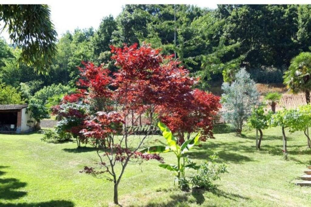 Apartamento Istanti - Menta Costigliole Saluzzo Exterior foto