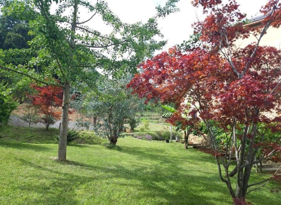 Apartamento Istanti - Menta Costigliole Saluzzo Exterior foto